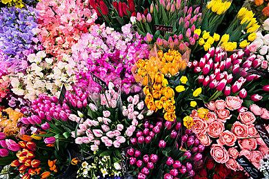 育碧：《星球大战：法外狂徒》失败是因为玩家对《星战》IP兴趣减弱